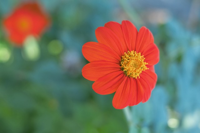 上一次面对 上一次面对