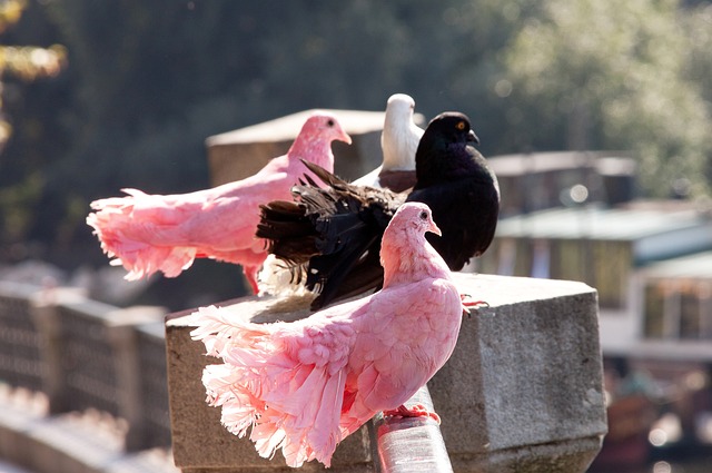 守水平的提 守水平的提