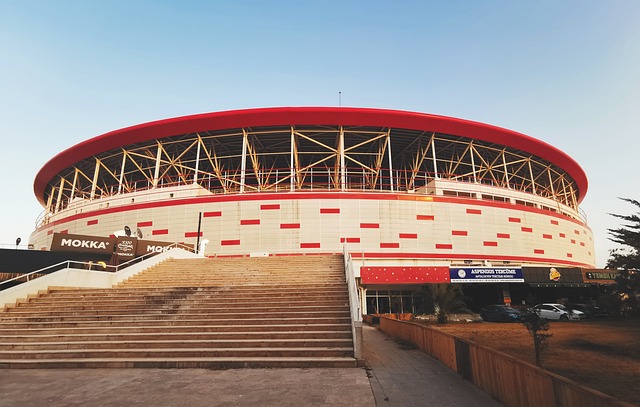 之一的鲍威 之一的鲍威