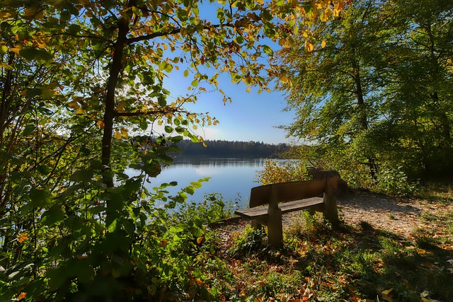一名球员打 一名球员打